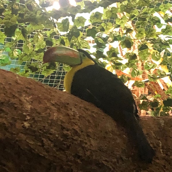 12/28/2019 tarihinde Jose P.ziyaretçi tarafından Acuario de Veracruz'de çekilen fotoğraf