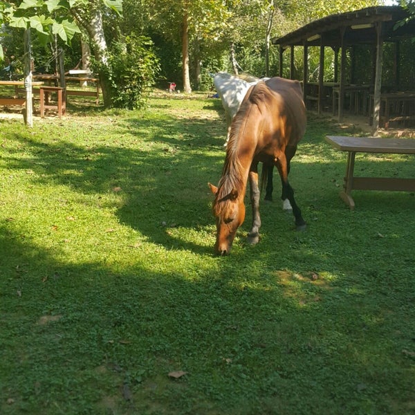 Photo taken at Polonezköy Zoo Country Club by Rüzgar R. on 3/3/2022