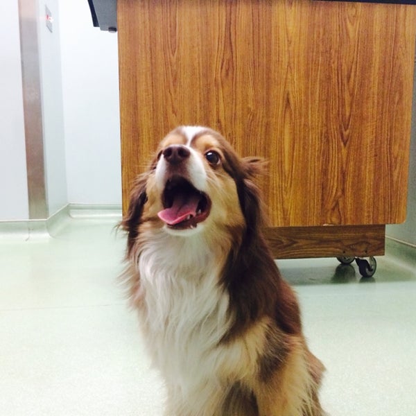 3/20/2014 tarihinde Mike S.ziyaretçi tarafından West Village Veterinary Hospital'de çekilen fotoğraf