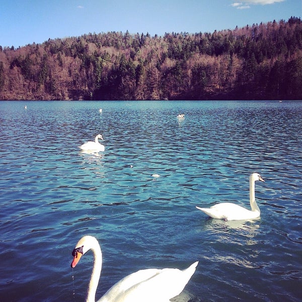 Photo taken at Zbiljsko jezero by Špela L. on 4/3/2015