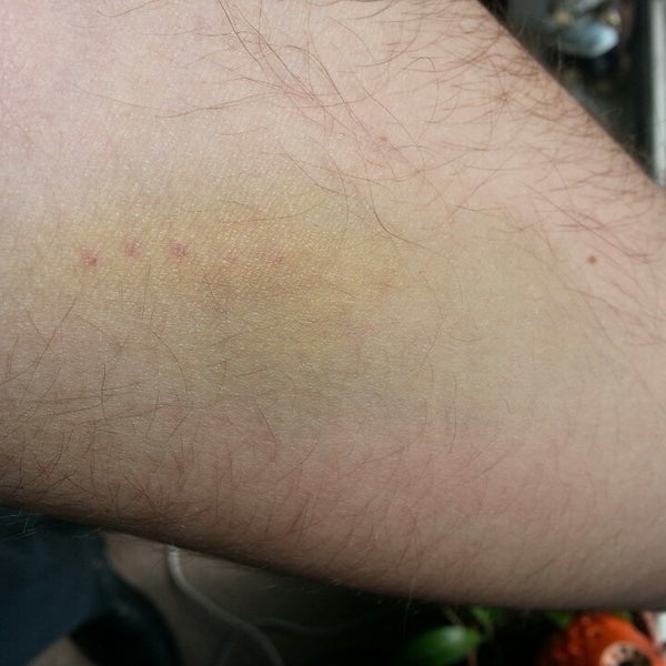 Beal College Bangor, ME