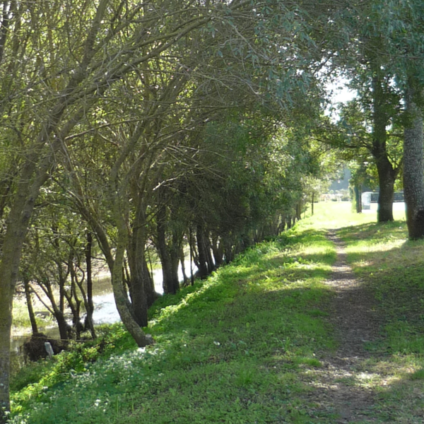 Centro Desportivo Nacional do Jamor