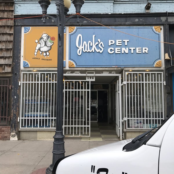 jacks pet store