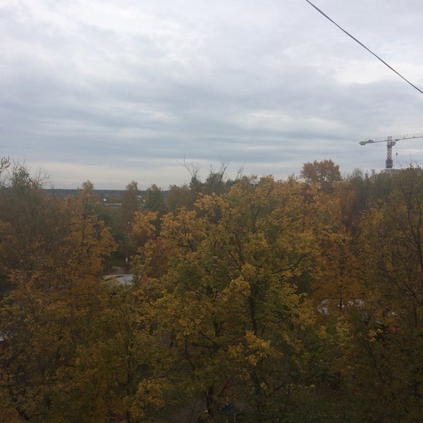 Лосиный индекс. Лосиный индекс