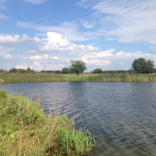 Водоёмы Ропша