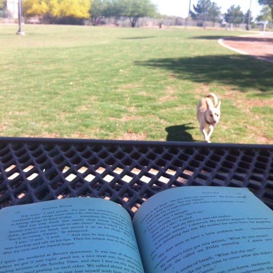 Photos at Tempe Sports Complex Dog Park 8401 S Hardy Dr.