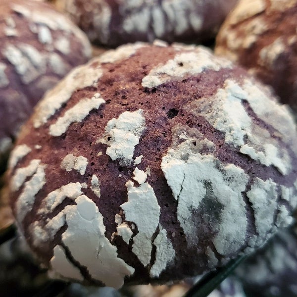 Islander's Bakery Elk Grove, CA