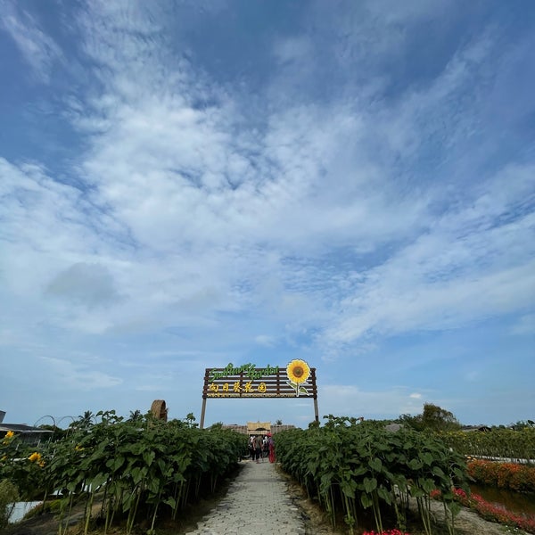 Sunflower Garden Bagan Datuk Perak