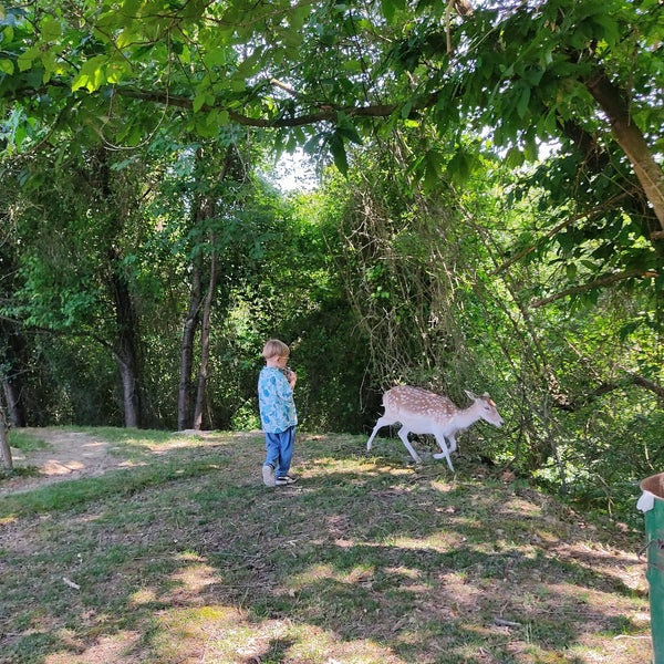 Foto tirada no(a) Polonezköy Hayvanat Bahçesi ve Doğal Yaşam Parkı por Tülin E. em 6/5/2022