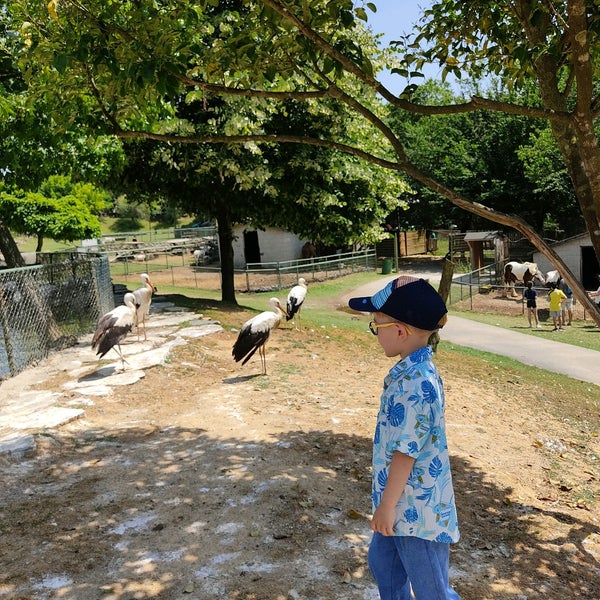 Das Foto wurde bei Polonezköy Hayvanat Bahçesi ve Doğal Yaşam Parkı von Tülin E. am 6/5/2022 aufgenommen