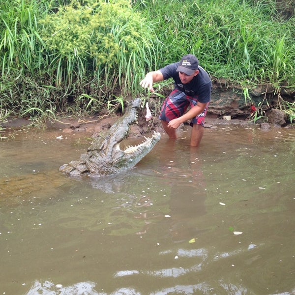 Best croc tour in Tarcoles. Jose knows his stuff. Skip the others and head to Jose's. Make reservations online.
