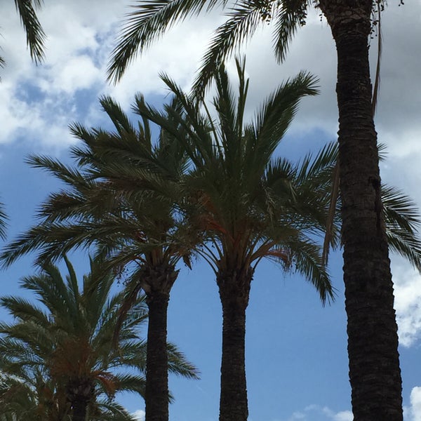 Sixt rent a car Rental Car Location in Palma