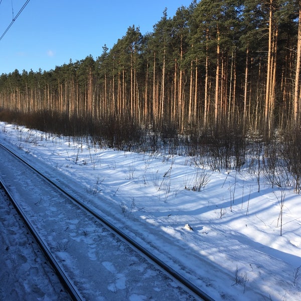 152 км капеасалми. Железнодорожная станция проба. Железнодорожная станция проба. Станция проба всеволожский район. Станция проба санкт-петербург.