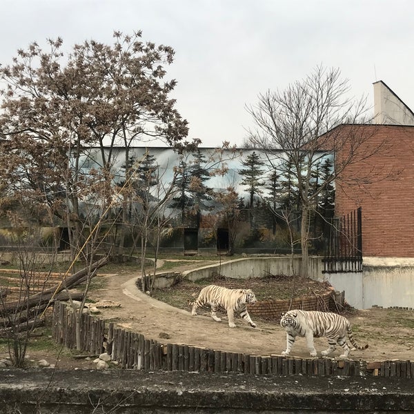 Photo taken at Sofia Zoo by Petya K. on 2/7/2021