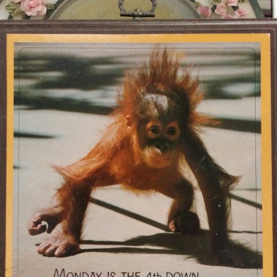 Vintage Centerfold
