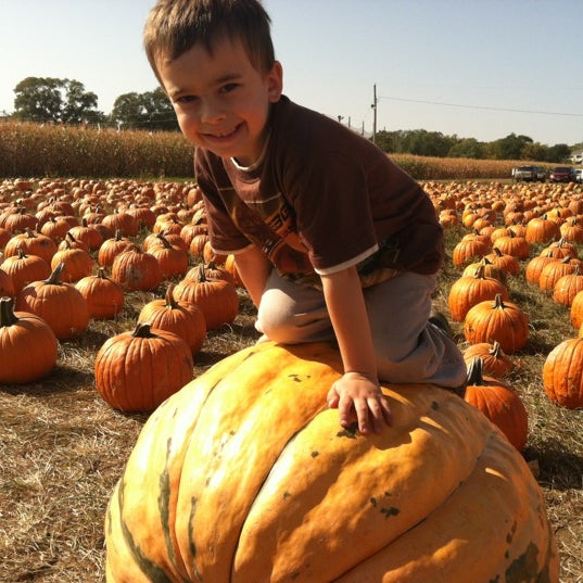 Photo taken at Sever&#39;s Corn Maze &amp; Fall Festival by Aaron M. on 9/29/2012