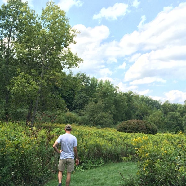 Beechwood Farms Nature Reserve 614 Dorseyville Rd.