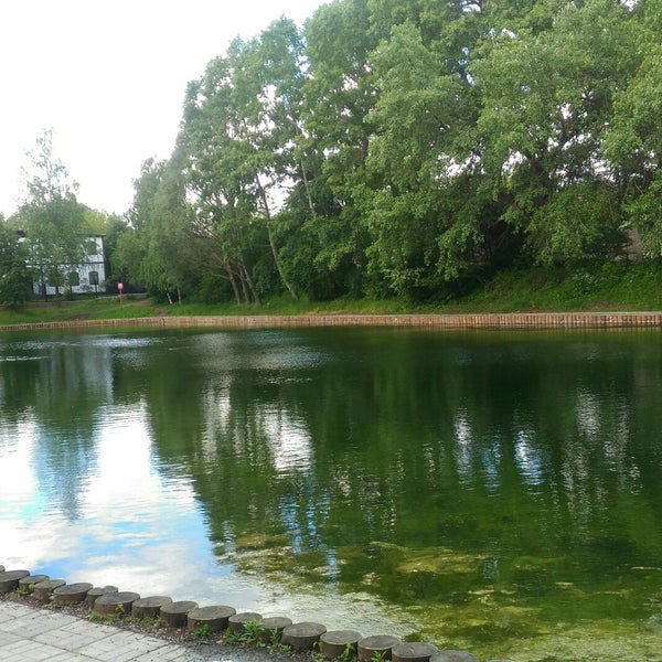 Пруд на нахимовском проспекте. 8, пруд «зеленка». Пруд зеленка. Пруд зеленка нахимовский проспект владение 8. Озеро зеленка в г фокино брянской области.