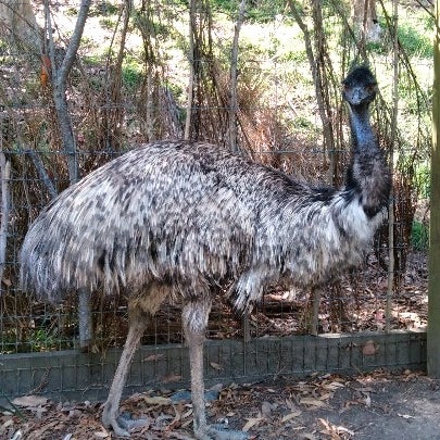 Foto tirada no(a) Wellington Zoo por Y S. em 2/29/2020