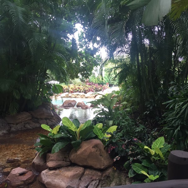 Photo taken at Discovery Cove by Klausi M. on 7/23/2017