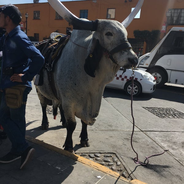 รูปภาพถ่ายที่ Tepotzotlán โดย Karol C. เมื่อ 12/29/2018