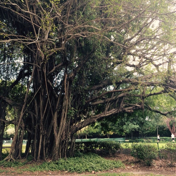 Pine Tree Dog Park Nautilus 5 tips from 187 visitors