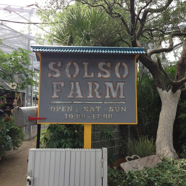 Solso Farm 宮前区 6 Tips Solso Farm 宮前区 6 Tips