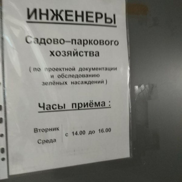 Спх пушкинское. Буферный парк в пушкине аллея ангелов. Аллея памяти погибших. Спп пушкинское. Спп пушкинское.