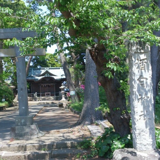 酒匂神社 小田原 酒匂2 27