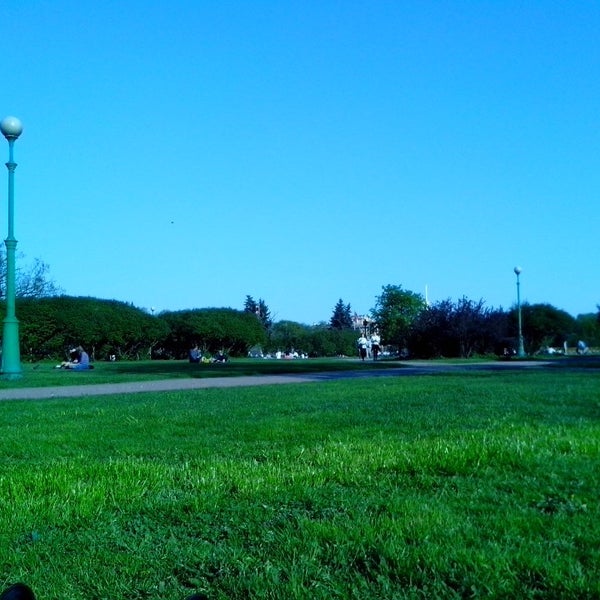 Марсово поле дуб. Марсово поле 3. Спб марсово поле 3. Марсово поле 3. Марсово поле оренбург.