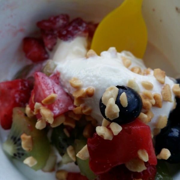 Diddys Yogurt Shoppe - 305 W Loop 281