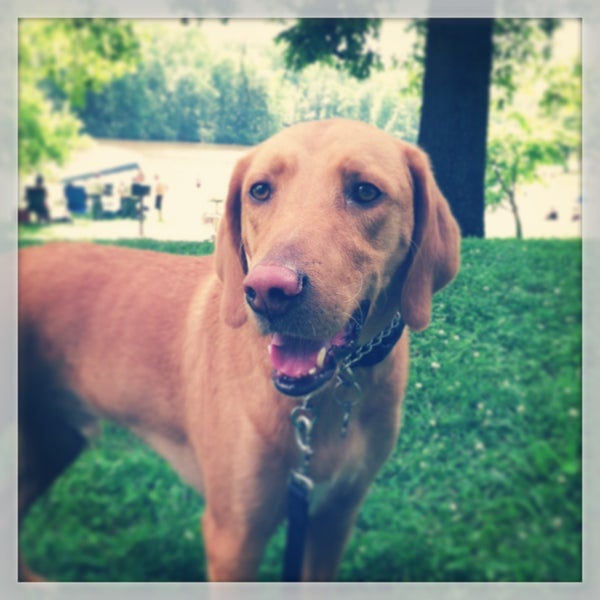 Bear Creek Lake State Park 4 tips