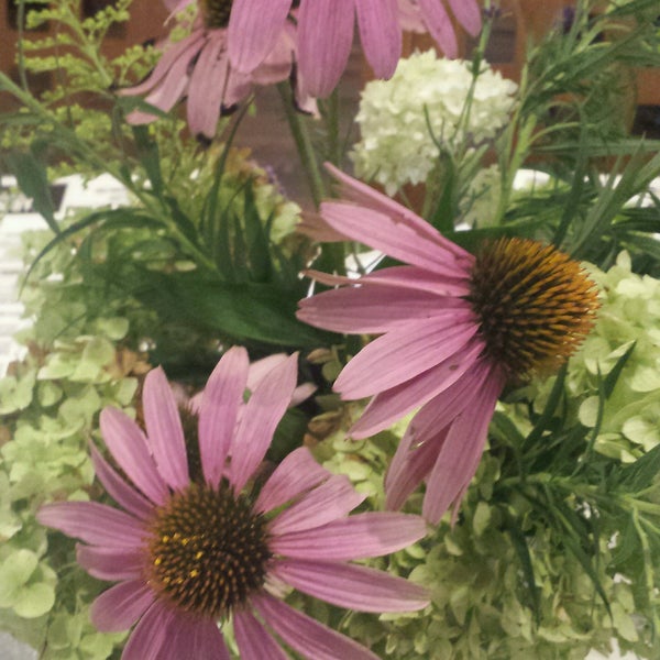 Bar None (Now Closed) American Restaurant in Brighton