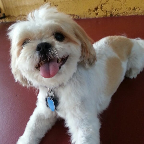 Photo taken at Woof in Boots | Doggy Day Care | Boarding | Grooming | Training | Pet Taxi by Thuy D. on 8/27/2013