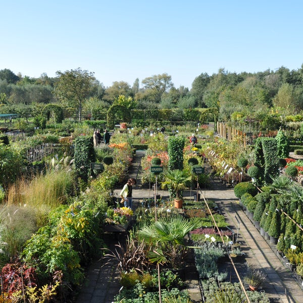 Photos At De Pauw Tuinplantencentrum Bornem 3 Tips From 124 Visitors