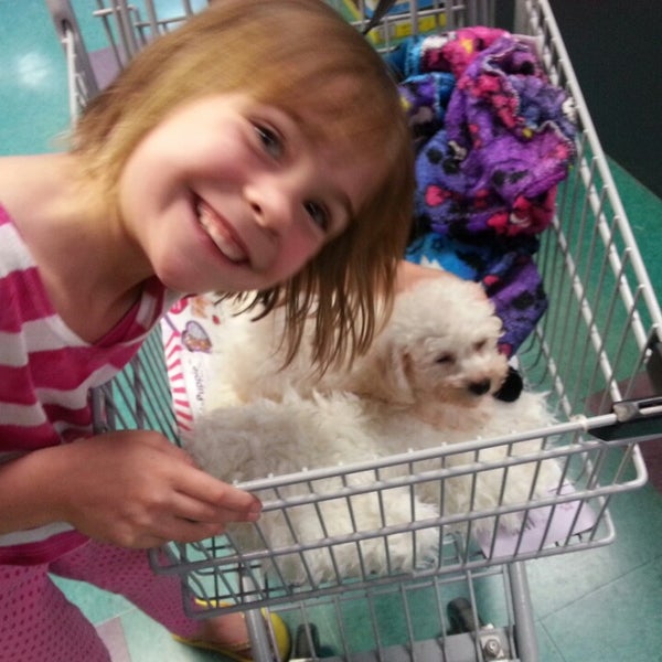 Photo taken at Petland Kennesaw by Elainebow on 4/26/2013