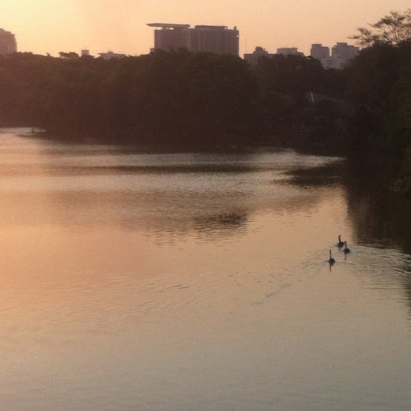 รูปภาพถ่ายที่ Parque Ibirapuera โดย Julia P. เมื่อ 3/2/2015