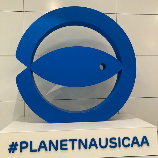 Photo taken at Nausicaá – Centre National de la Mer by Kyana 🎀 on 9/26/2021