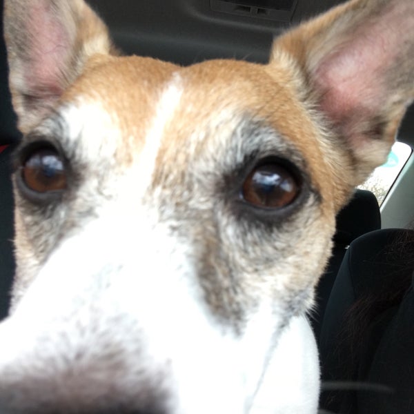 Gentry Waipio Pet Clinic Waipahu, HI