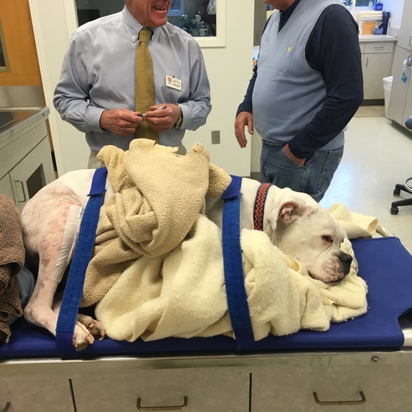 Dickson Animal Clinic 2 tips