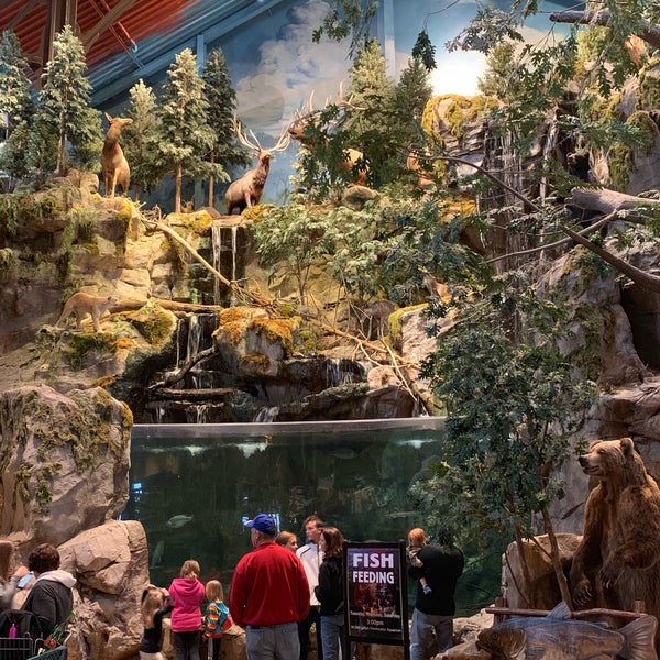 Bass Pro Shops Sporting Goods Retail in Altoona