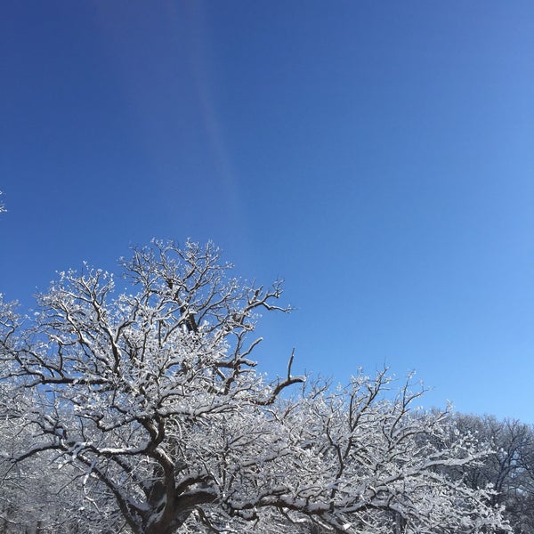 Bliss Woods Sugar Grove, IL