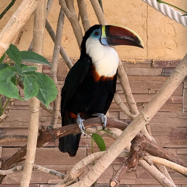 Photo taken at Attica Zoological Park by Martin O. on 8/5/2019