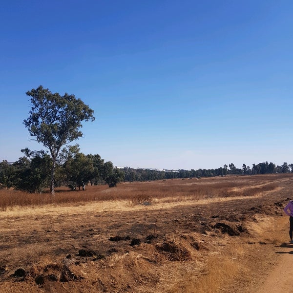 Modderfontein Nature Reserve Other Great Outdoors