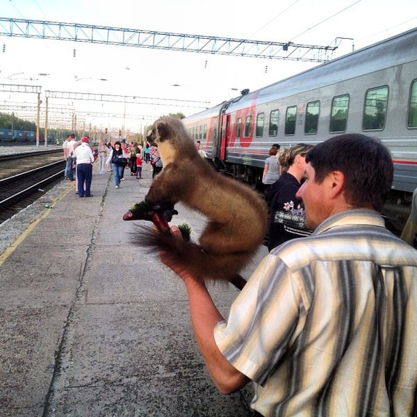 Вокзал гусь хрустальный