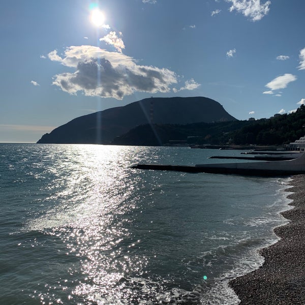 Осьминог Крым Партенит