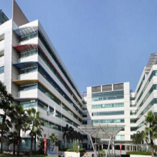 3 International Business Park