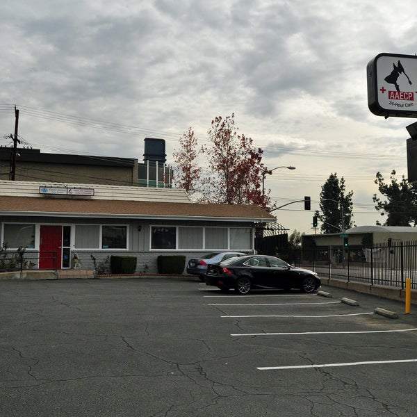 Animal am sale emergency clinic