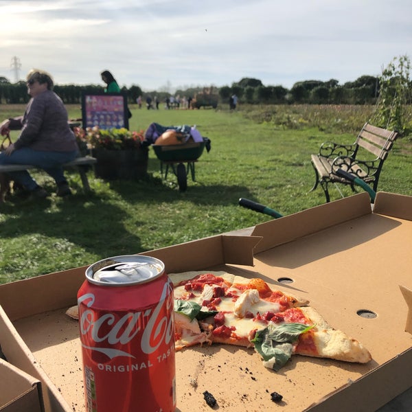 Cat And Fiddle Strawberry Fields Strawberry Picking