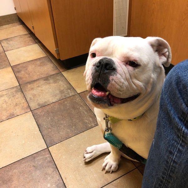 PetSmart East Louisville Louisville, KY